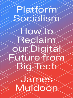 cover image of Platform Socialism